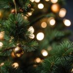 Jõulukuuse ajalugu: Traditsioonide areng läbi aegade